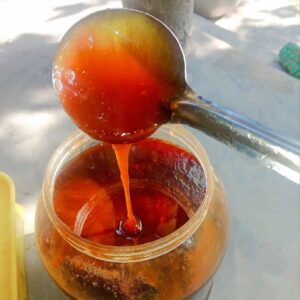 খেজুর গুড় (ঝোলা) | Liquid Date jaggery